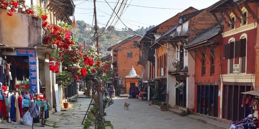 Unique Hotel And Lodge - Pleasure Of Homely Stay - Bandipur Exteriör bild